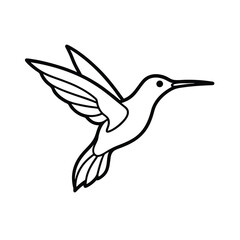 Obraz premium hummingbird vector illustration