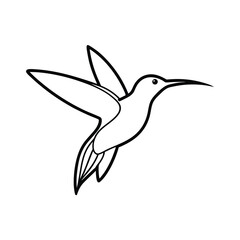 flying hummingbird