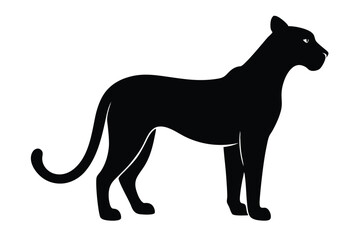 silhouette of a horse