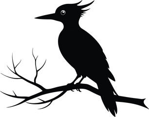 Woodpecker Bird Silhouette Vector Illustration Design