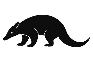 kangaroo vector illustration