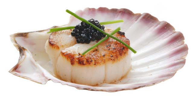 a single seared scallop placed on top of an open pink shell, garnished with black caviar and chives, png, transparent