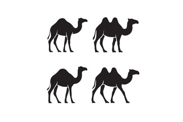 camels vector illustration