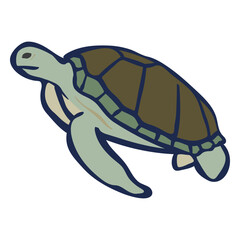 Color animal flat turtle