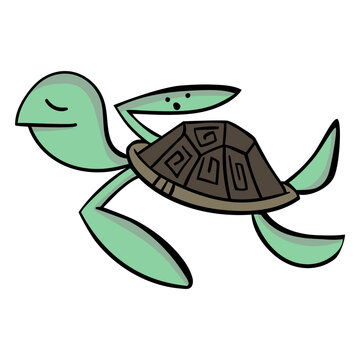 Turtle character stylish cartoon