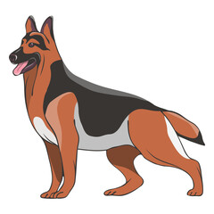 Side german shepherd dog illustration