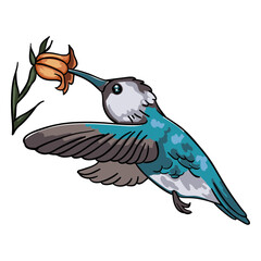 Realistic bird blue hummingbird flower illustration