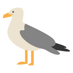 Seagull bird side-view