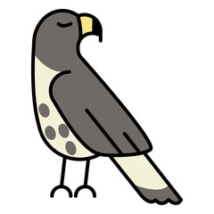 Proud hawk bird