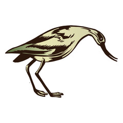 White and green bird color stroke