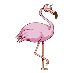 Flamingo tropical bird cartoon animal