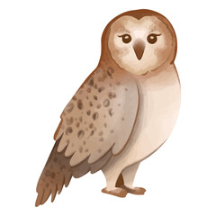 Watercolor owl animal