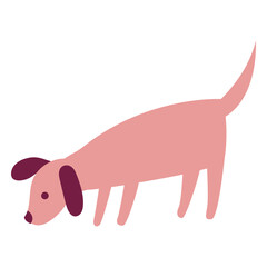 Dog flat animal
