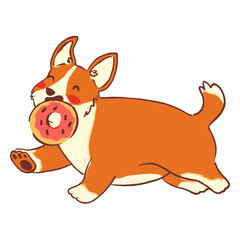 Cute corgi donut dog