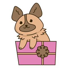 Birthday dog kawaii gift