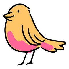 Yellow bird with pink belly feathers