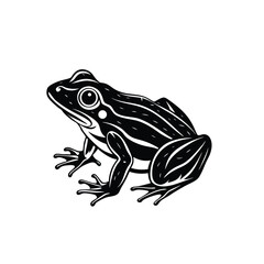frog vector on white background 