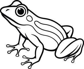 Naklejka premium frog on a white background