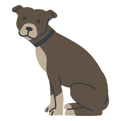 Pit bull dog sitting down