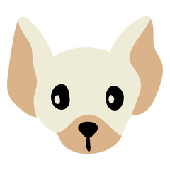Chihuahua dog face