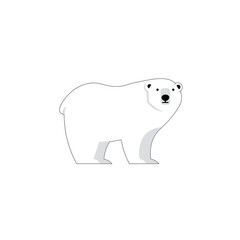 polar bear vector illustration