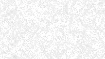 topography white background and black line wireframe isoline location diagram world map texture design .