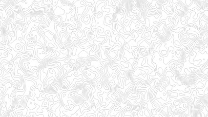 topography white background and black line wireframe isoline location diagram world map texture design .