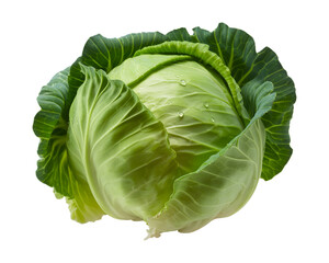 Obraz premium Cabbage with Green Outer Leaves and a Light Green Inner Core, Fresh and Healthy Vegetable, Isolated on transparent background
