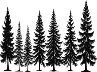 Fototapeta premium Pine tree silhouettes. Evergreen forest firs and spruces black shapes, wild nature trees templates. Vector illustration woodland trees set on white background.