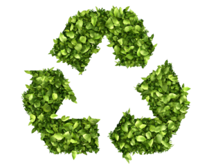 An icon of the recycling symbol made from green leaves, on a white background,