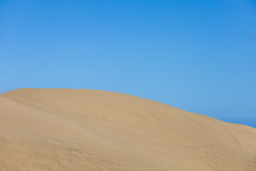 Desert landscape and sand dunes in Maspalomas. View of dunes and sea. Gran Canaria Island Spain