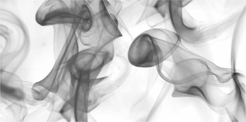 Abstract Vibrant gray transparent smoke cloud. Black smoke or fog isolated on white background. Abstract black transparent smoke banner.