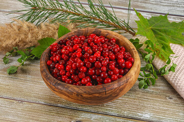 Natural organic wild forwst lingonberry