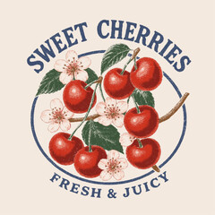 Sweet Cherries typography text print. Retro Cherry Print Design Vector with Slogan. Fashion graphic prints for cherries fruit, Fashion slogan print. womens cute t-shirt print, vintage poster design. © Justin