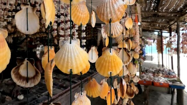 Decorative seashell chains on display in a shop at Dhanushkodi, Tamil Nadu, India