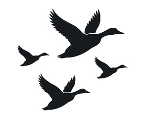 Three Ducks in Flight Silhouette Black and White Illustration