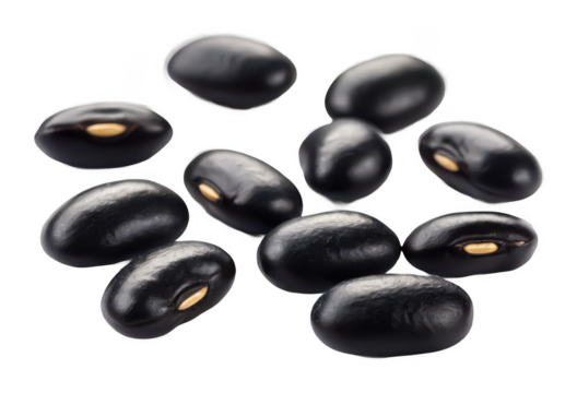 Black bean seeds png vegetable seeds png organic bean seeds png garden seeds png edible seeds png non gmo bean seeds png cooking beans png transparent background image