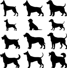  Dog breed black silhouette and line art
