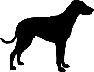  Dog breed black silhouette and line art