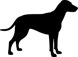  Dog breed black silhouette and line art
