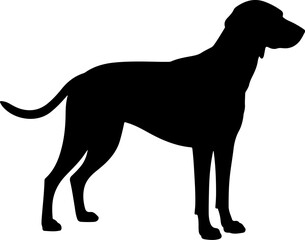  Dog breed black silhouette and line art