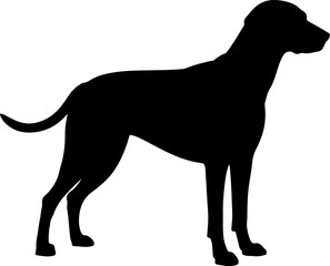  Dog breed black silhouette and line art