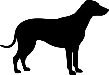  Dog breed black silhouette and line art