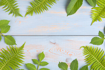 Green leaves fern and dahlias on blue wooden background. Summer creative layout made of leaves with...