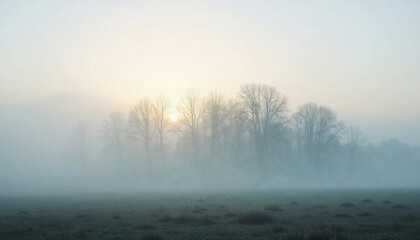 Misty Sunrise Over Trees in a Foggy Landscape for Environmental Awareness, Climate Change Blogs, Nature Conservation Websites, and Outdoor Enthusiast Content  