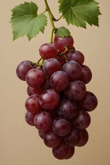 Fototapeta premium bunch of red grapes with the leaves isolated on beige background