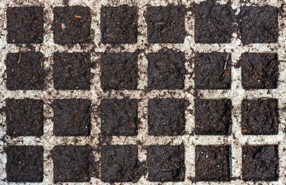   Semillero dividido en compartimentos con turba reci&eacute;n regada, y sembrado preparado para germinar.  Vista desde arriba. 