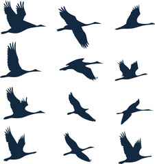Fototapeta premium Set of flying bird silhouettes, a vector illustration of wild nature