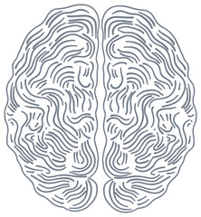 The sticker is a schematic image of the human brain, made in the form of an abstract labyrinth of smooth, winding lines imitating the cerebral cortex.