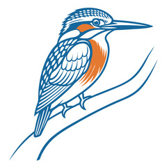 Kingfisher vector art, kingfisher logo design vector on white background. Adobe Illustrator Artwork